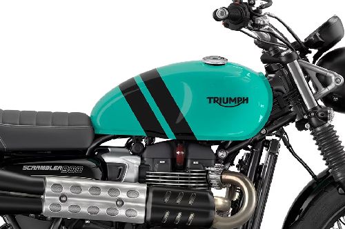 Triumph Scrambler 900 Fuel Tank View