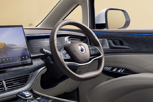 Denza D9 Steering Wheel